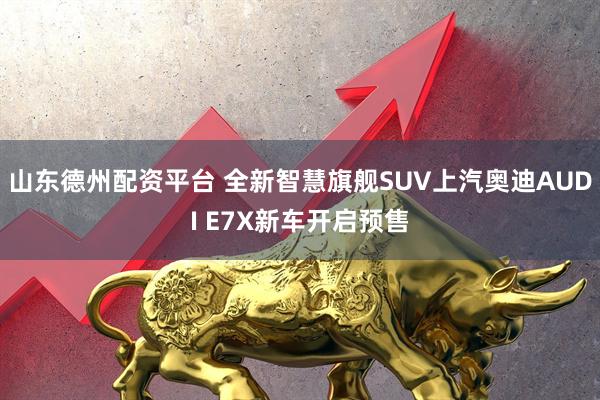 山东德州配资平台 全新智慧旗舰SUV上汽奥迪AUDI E7X新车开启预售
