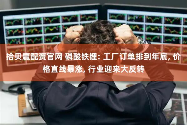 拾贝赢配资官网 磷酸铁锂: 工厂订单排到年底, 价格直线暴涨, 行业迎来大反转